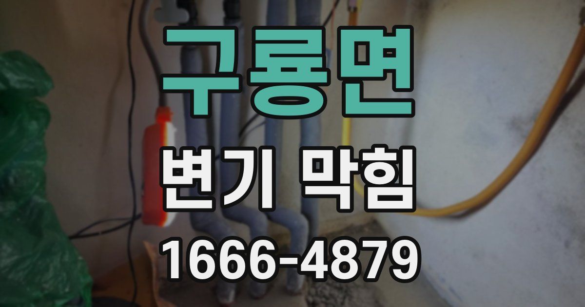 구룡면 변기 막힘