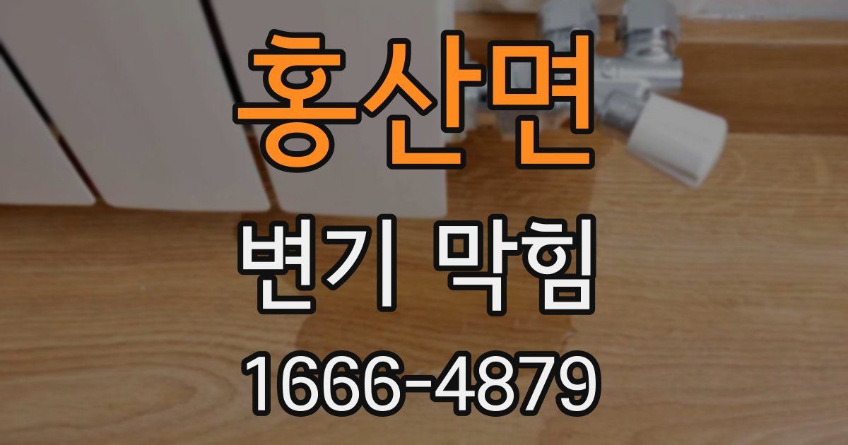 홍산면 변기 막힘