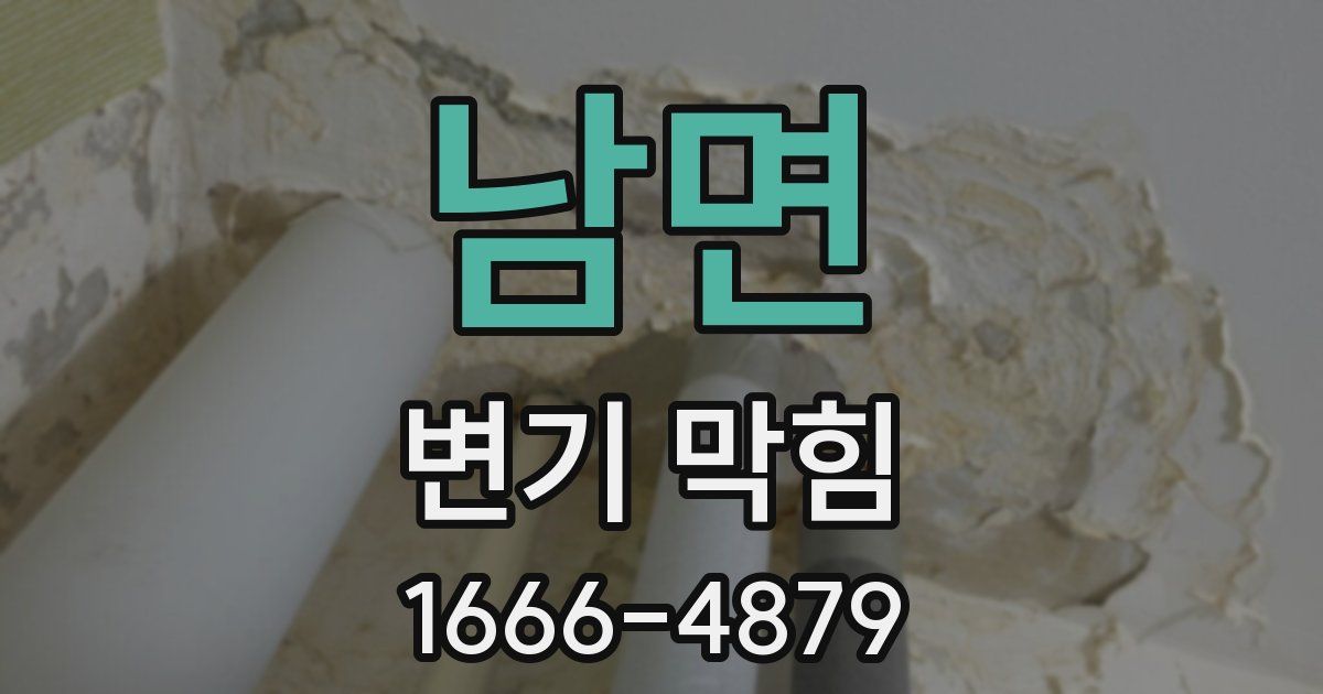남면 변기 막힘