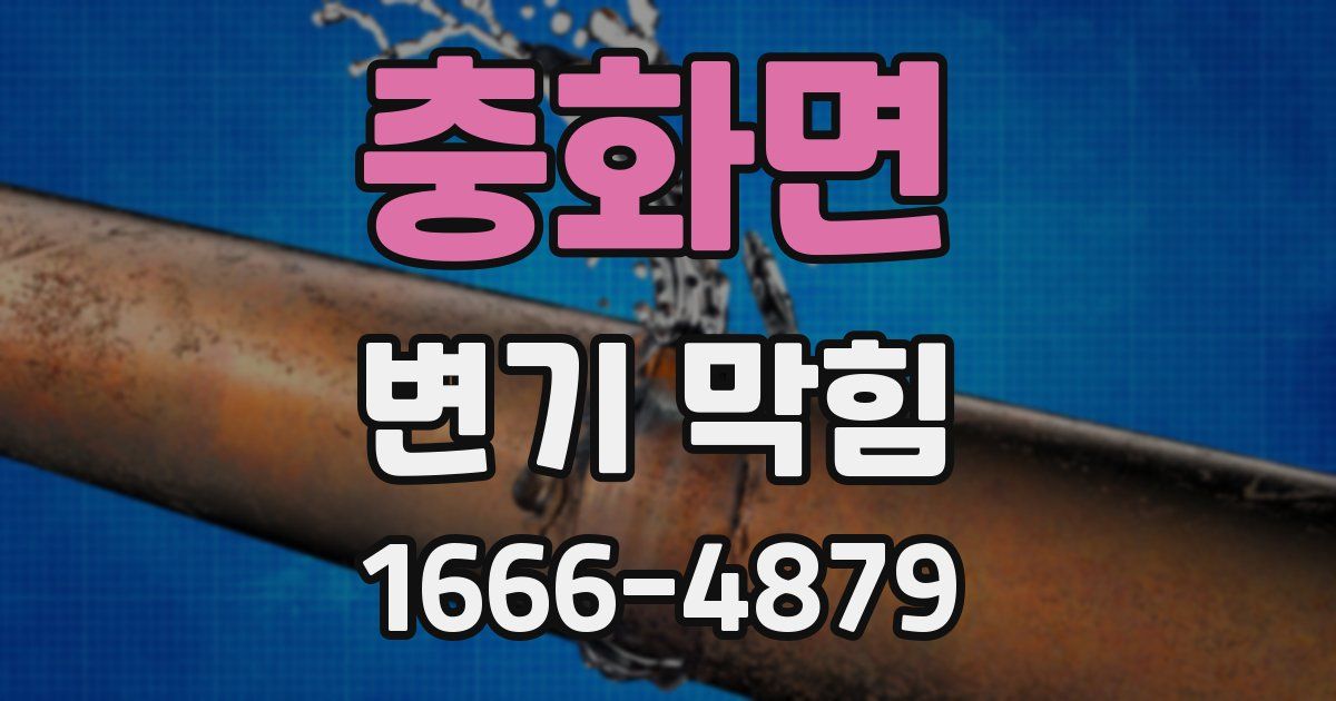 충화면 변기 막힘