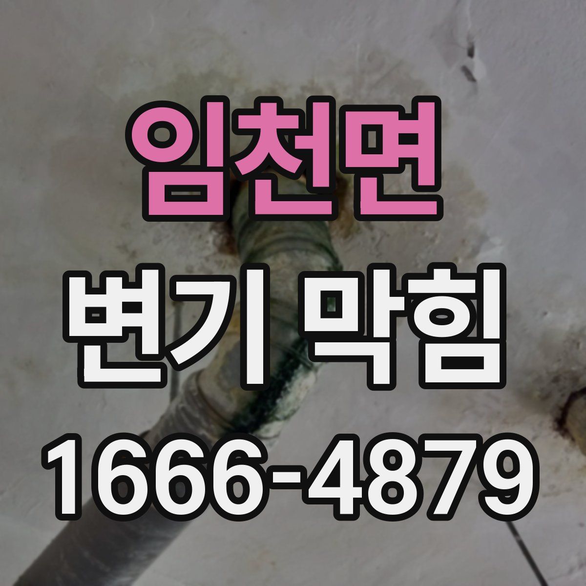 임천면 변기 막힘