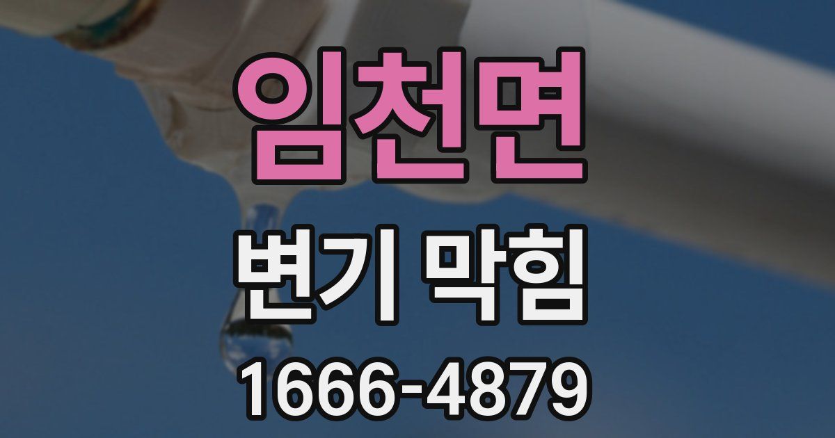 임천면 변기 막힘