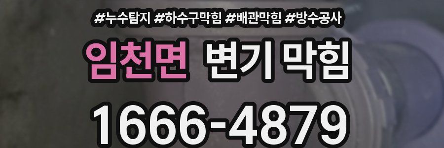 임천면 변기 막힘