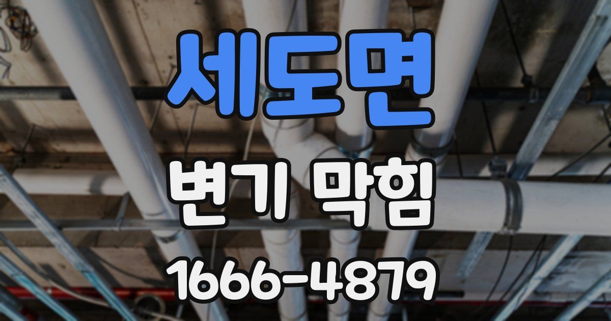세도면 변기 막힘
