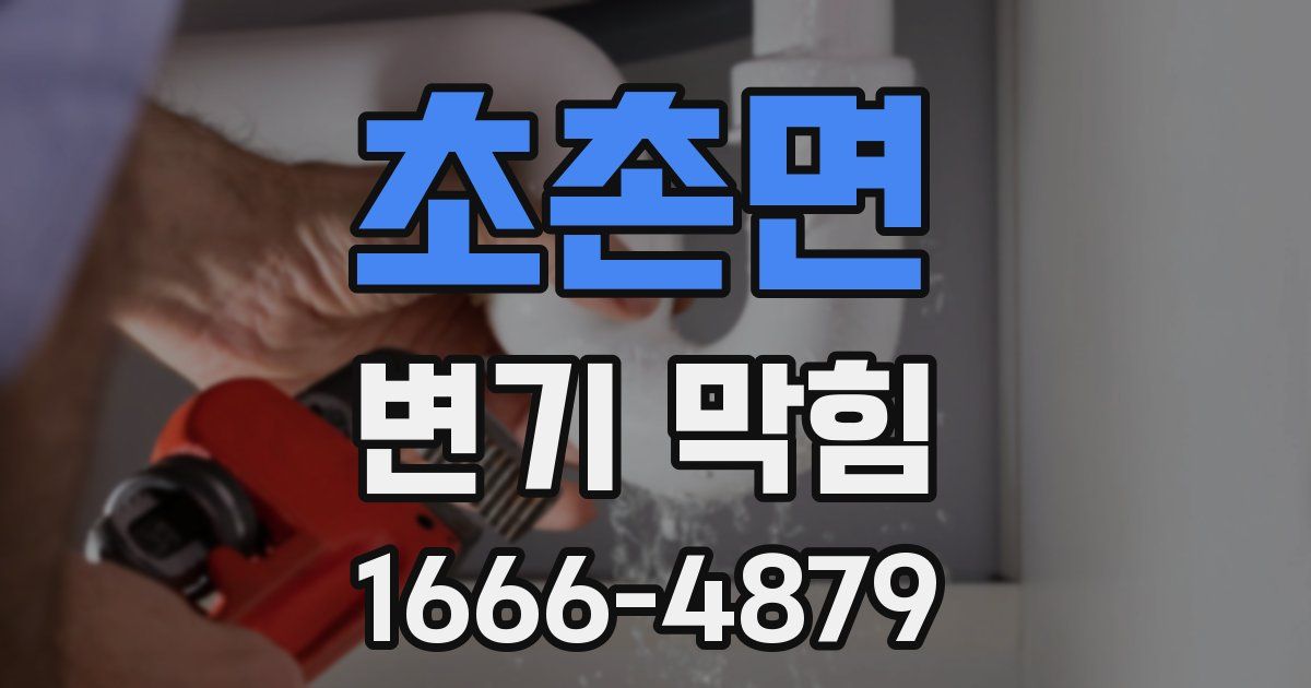 초촌면 변기 막힘