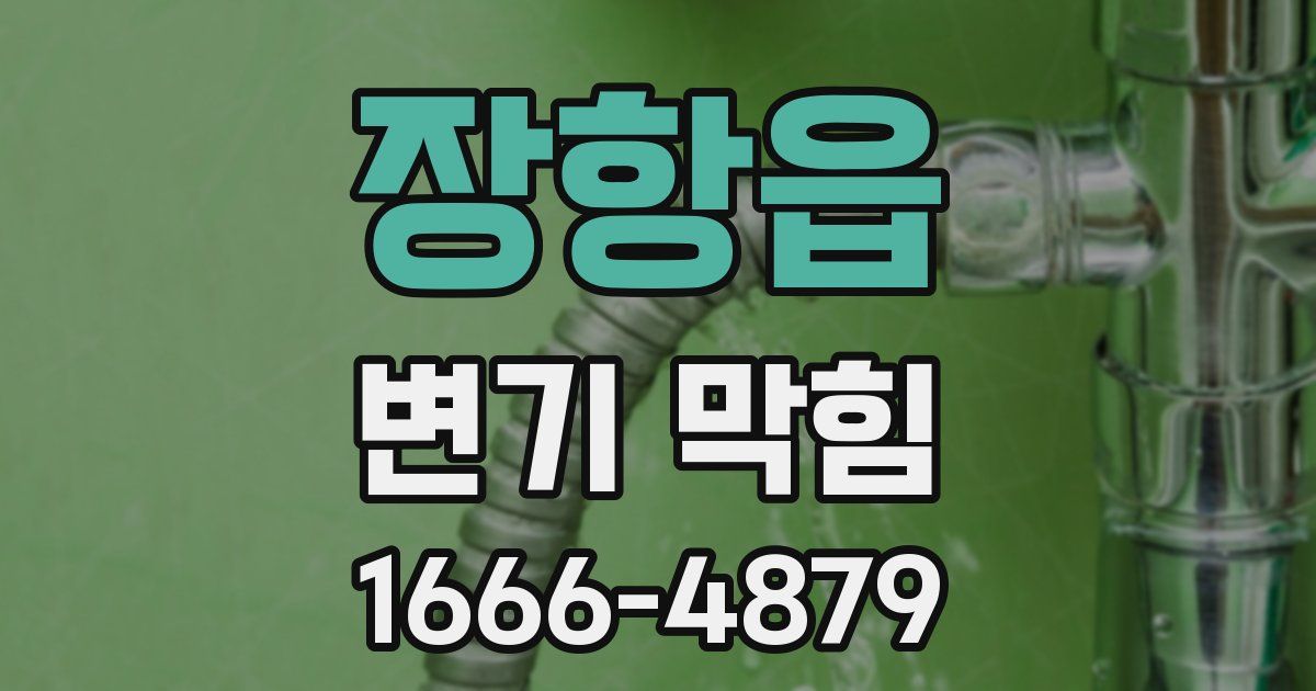 장항읍 변기 막힘