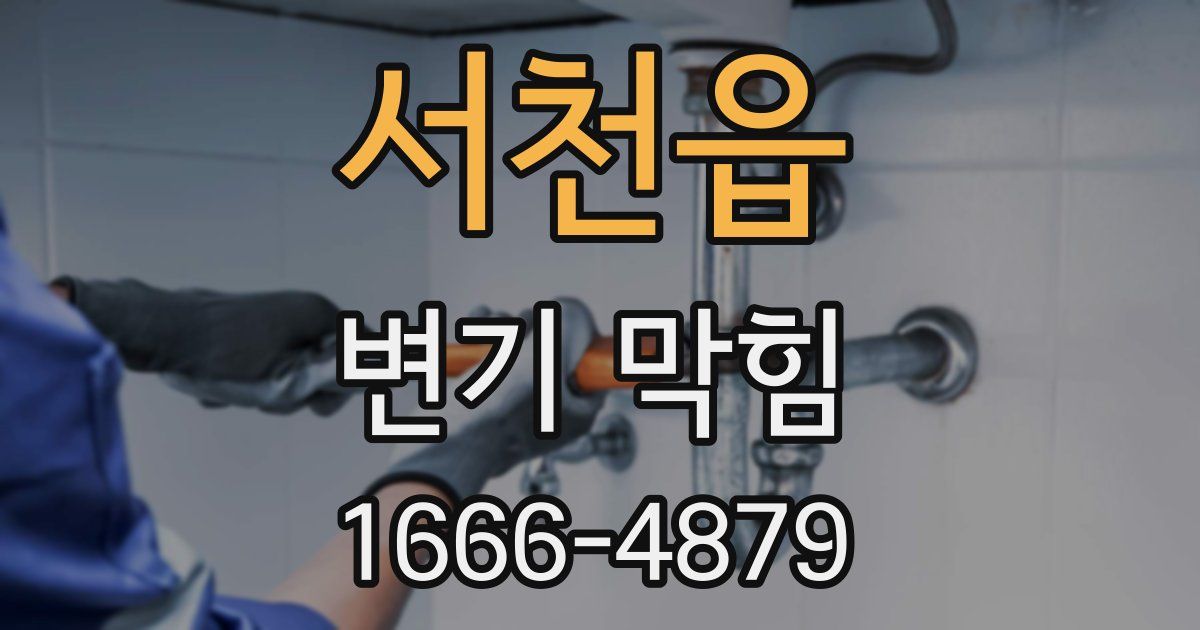 서천읍 변기 막힘