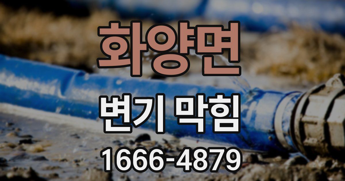 화양면 변기 막힘