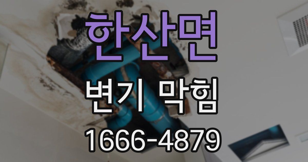 한산면 변기 막힘