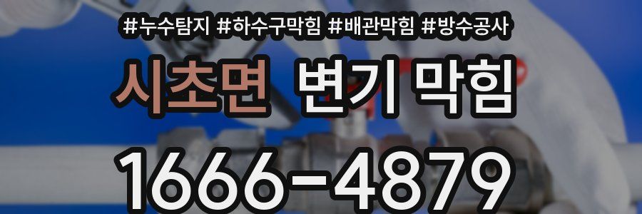 시초면 변기 막힘
