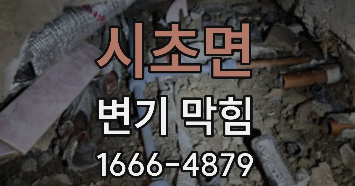 시초면 변기 막힘