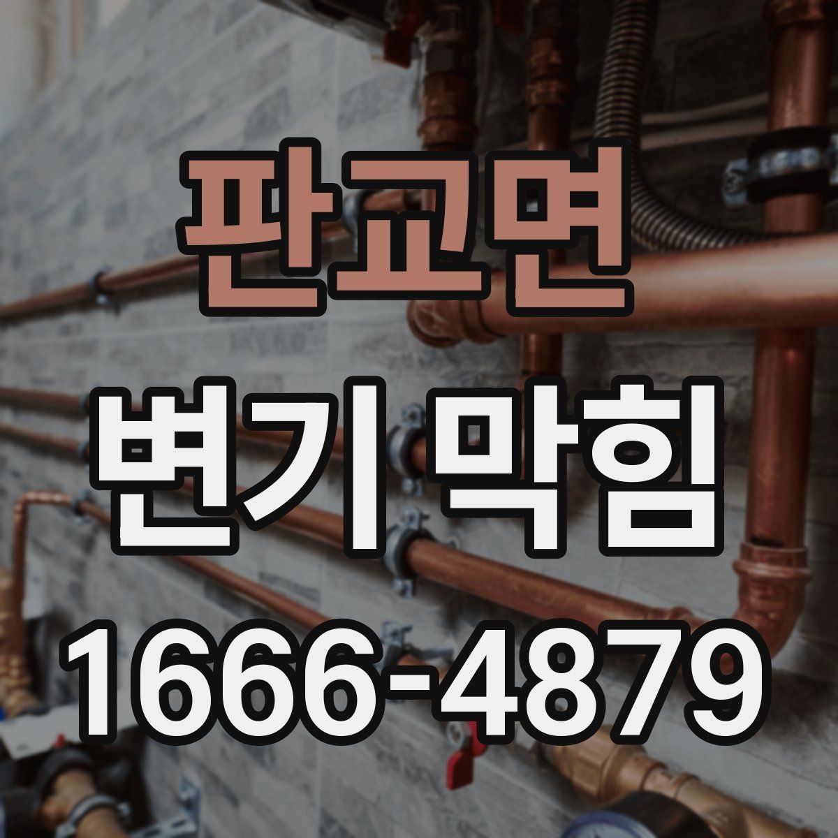판교면 변기 막힘