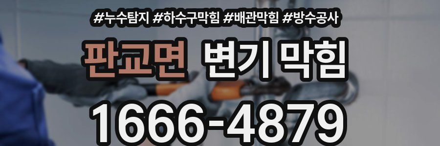 판교면 변기 막힘