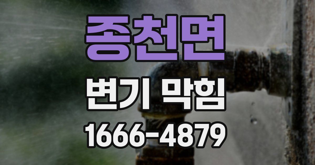 종천면 변기 막힘