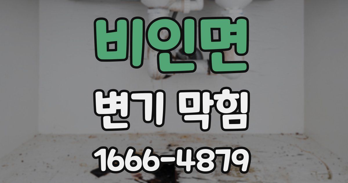 비인면 변기 막힘