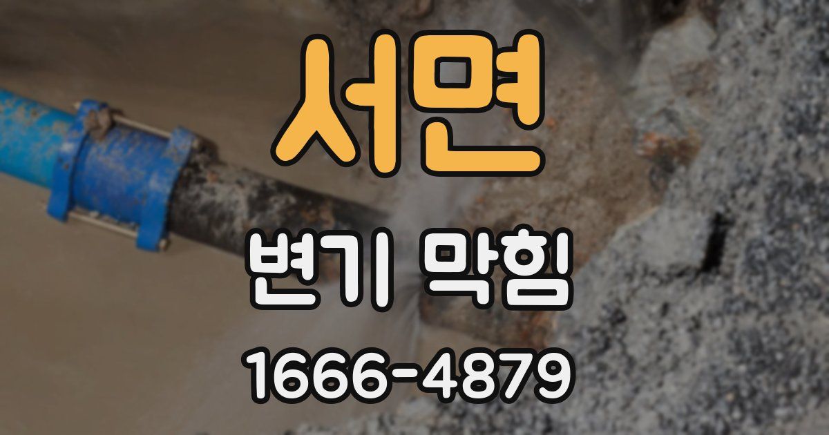 서면 변기 막힘