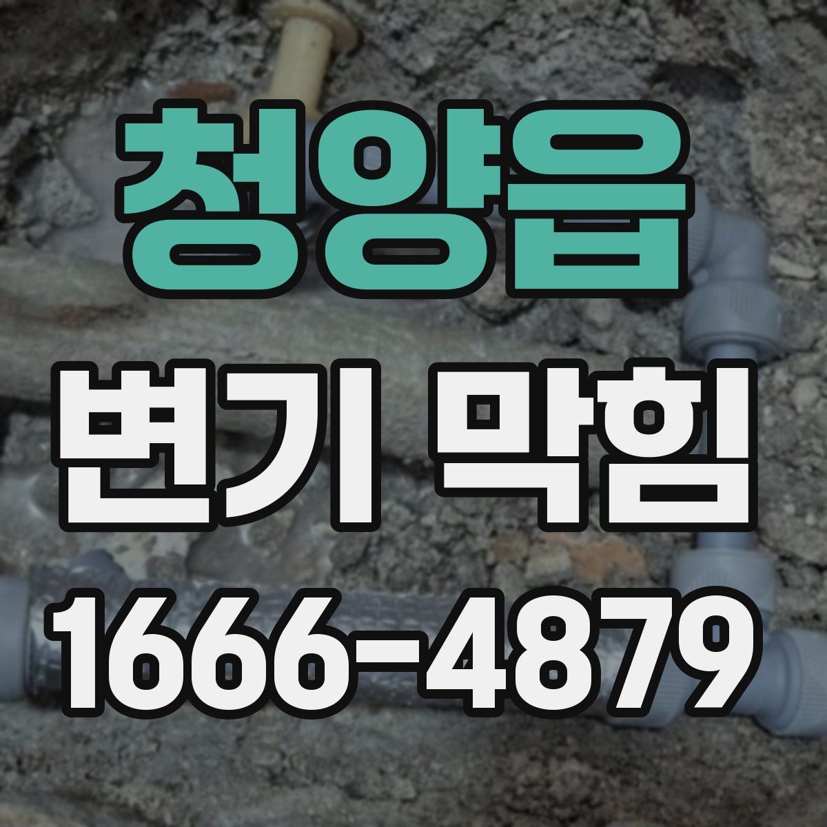 청양읍 변기 막힘