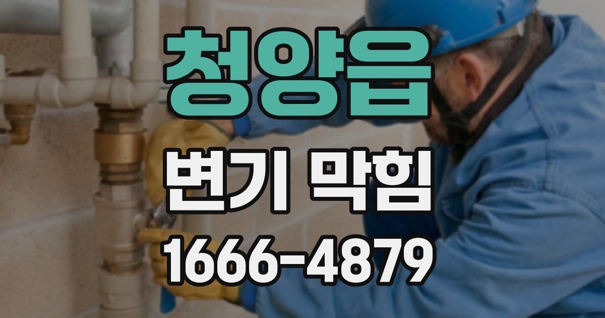 청양읍 변기 막힘