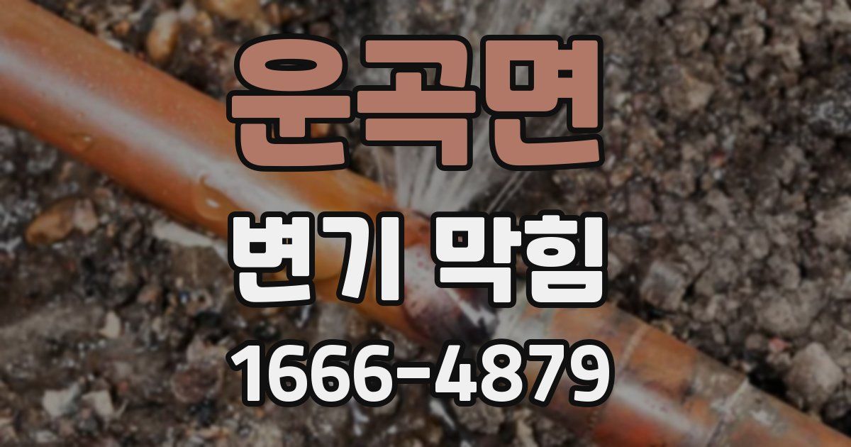 운곡면 변기 막힘