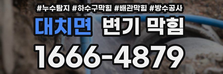 대치면 변기 막힘