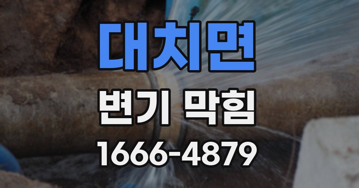 대치면 변기 막힘