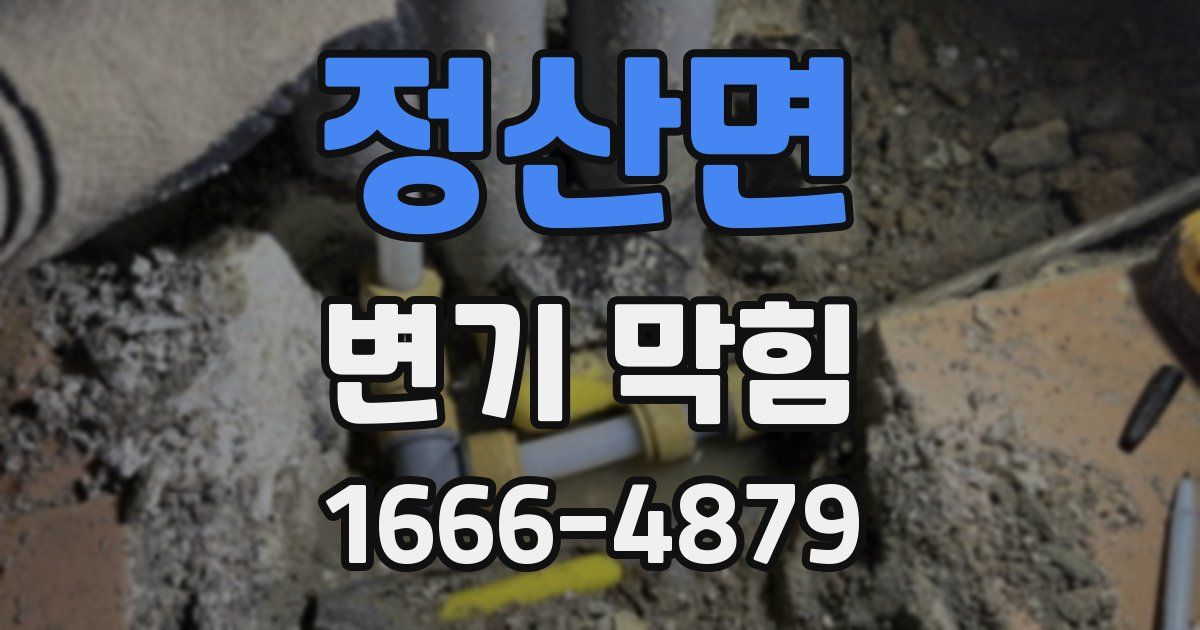 정산면 변기 막힘