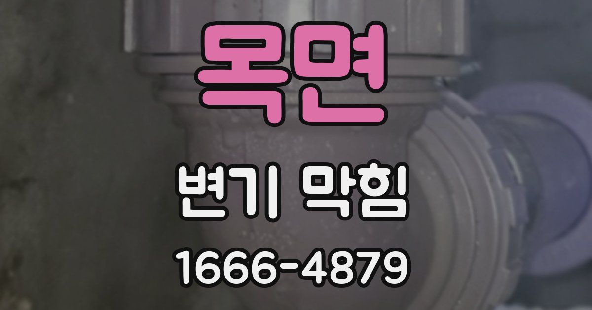 목면 변기 막힘