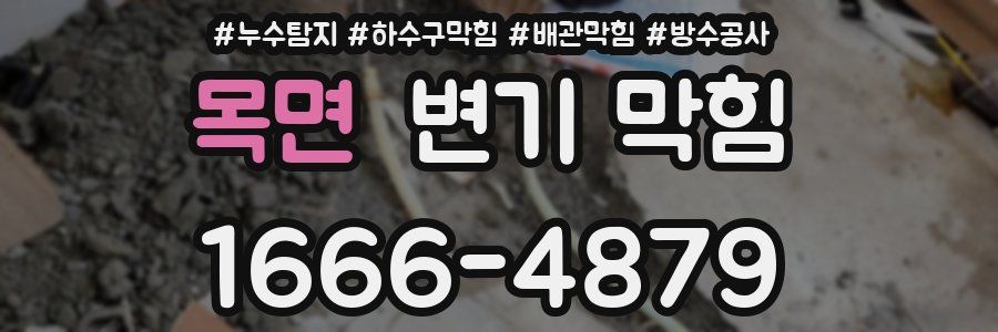 목면 변기 막힘