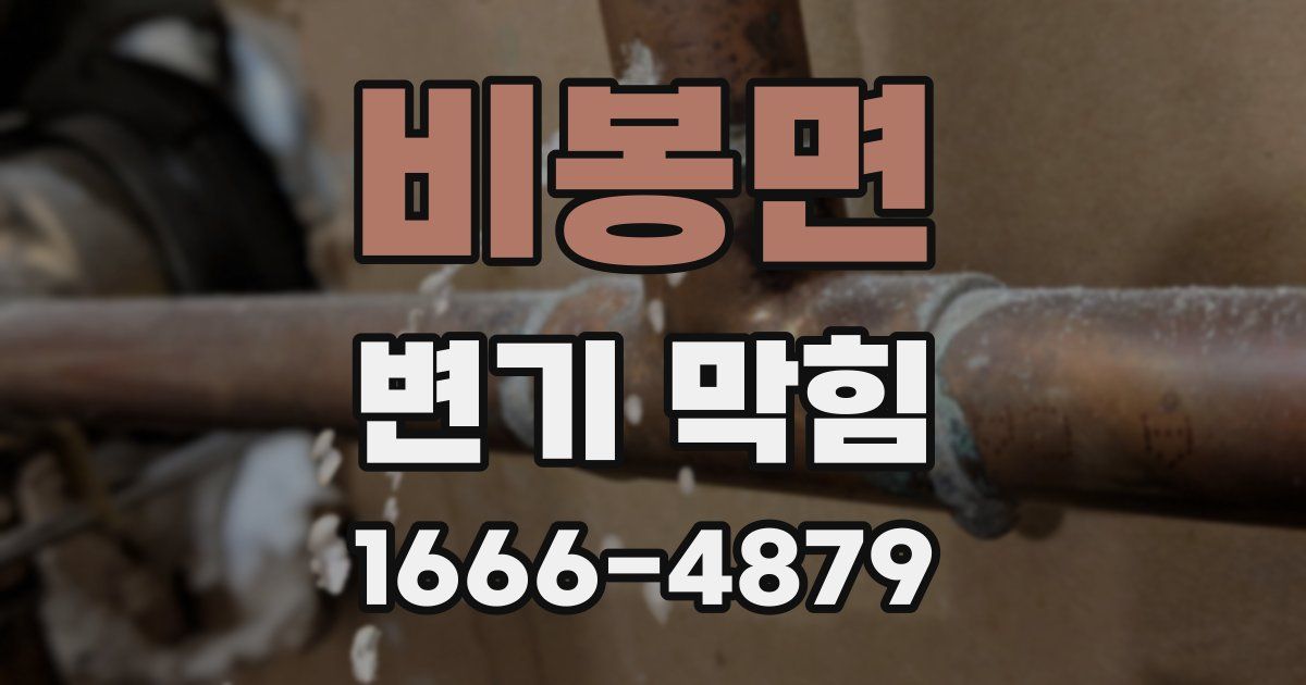 비봉면 변기 막힘