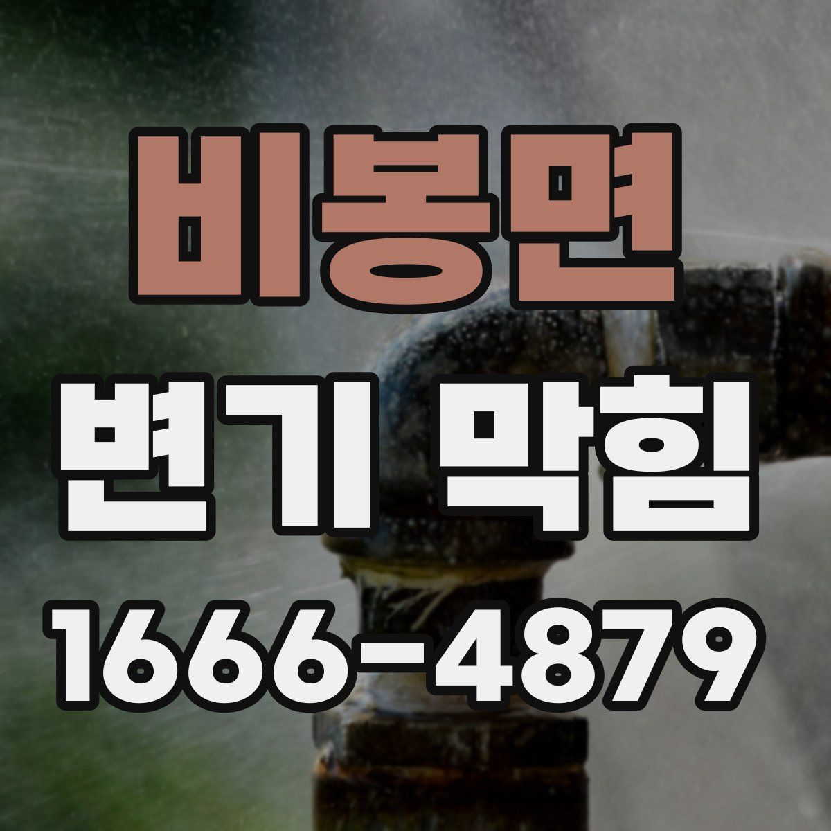 비봉면 변기 막힘