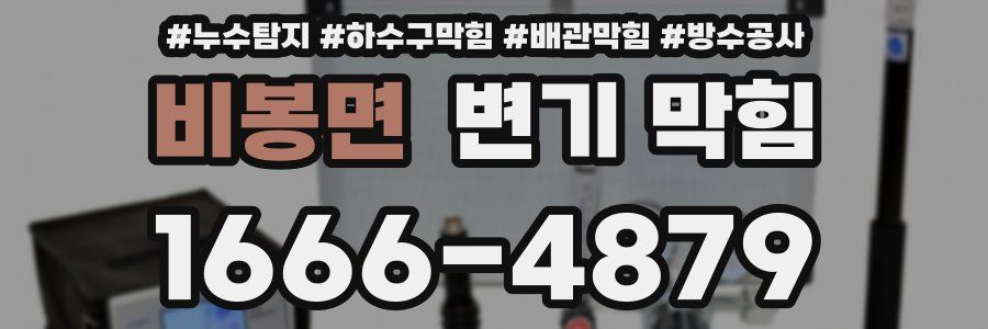 비봉면 변기 막힘