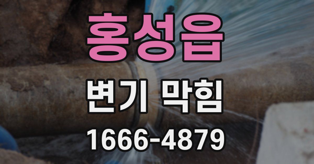 홍성읍 변기 막힘