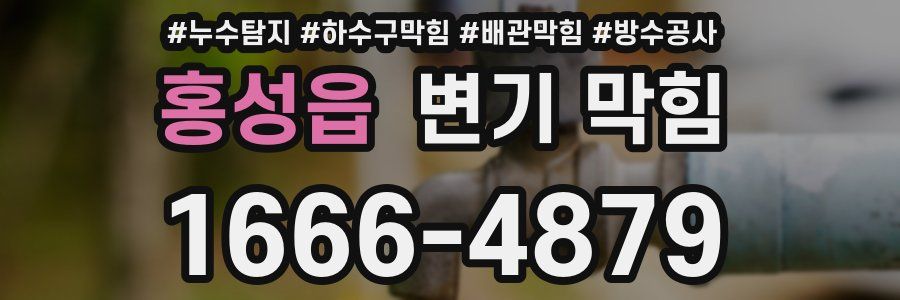 홍성읍 변기 막힘