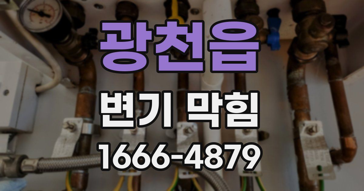 광천읍 변기 막힘