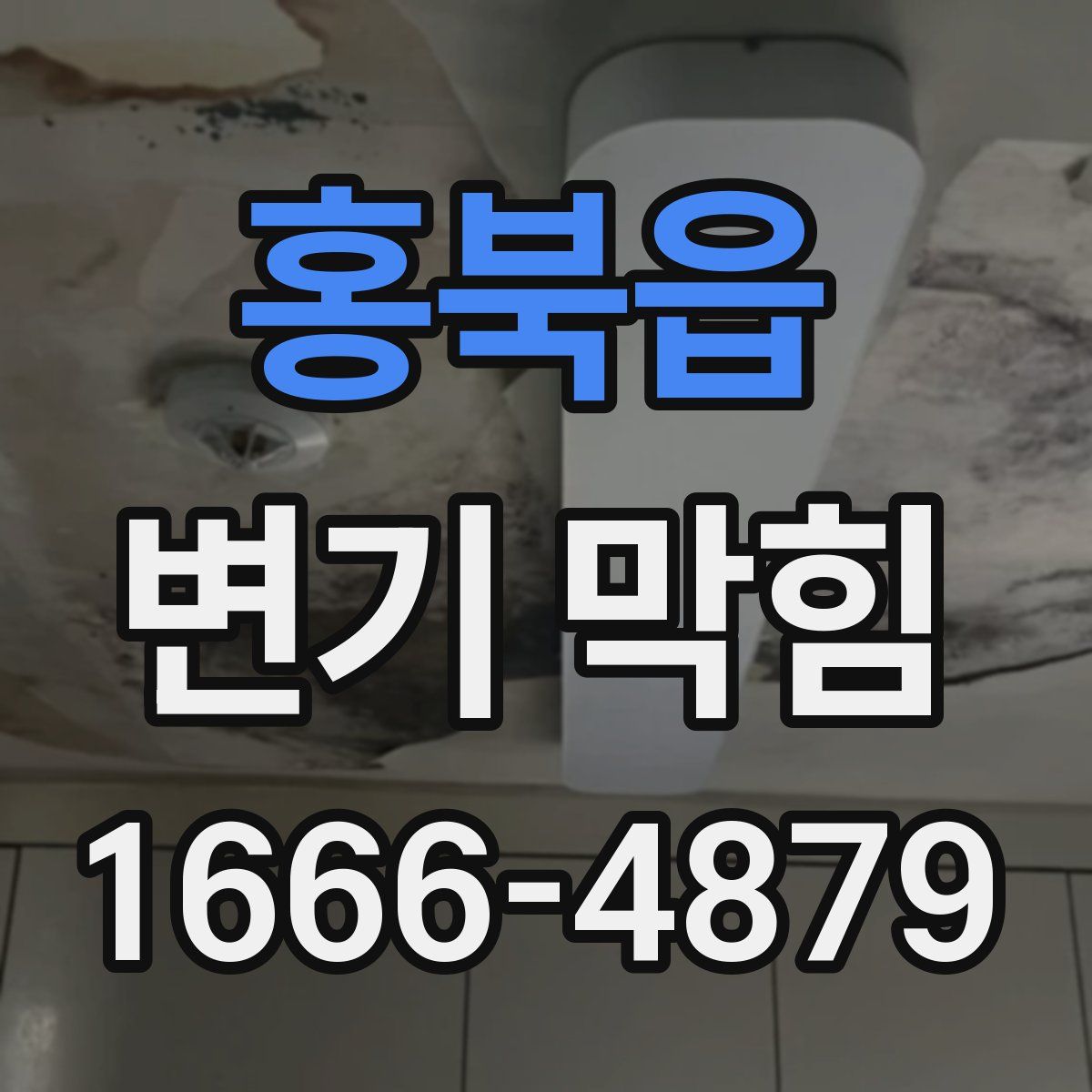 홍북읍 변기 막힘