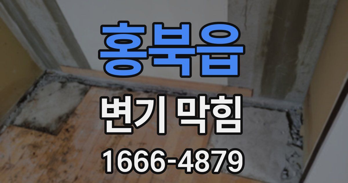 홍북읍 변기 막힘