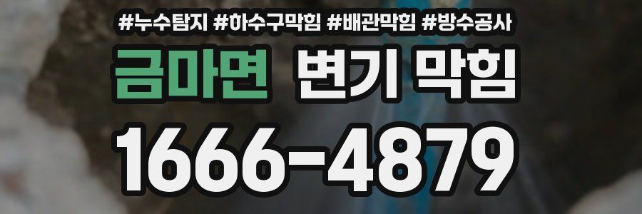 금마면 변기 막힘
