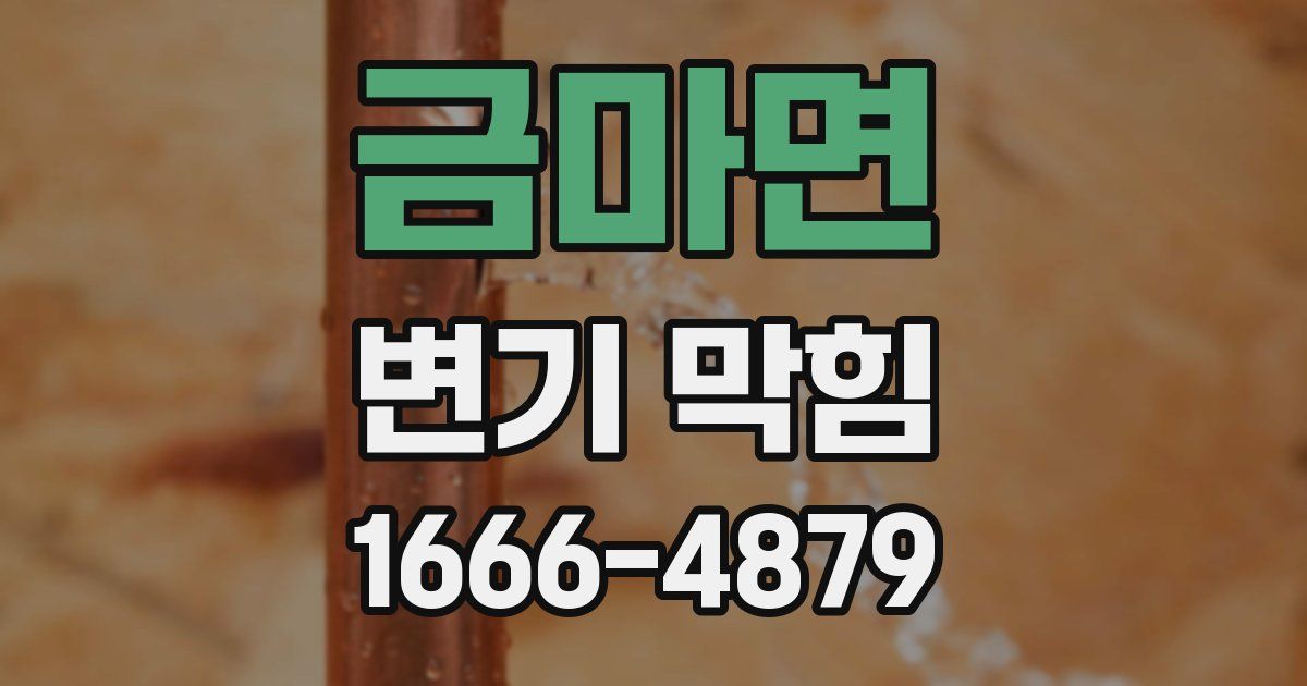 금마면 변기 막힘