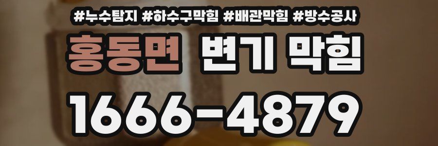 홍동면 변기 막힘