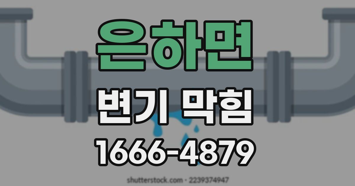 은하면 변기 막힘