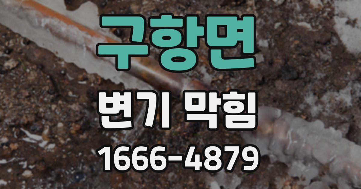 구항면 변기 막힘