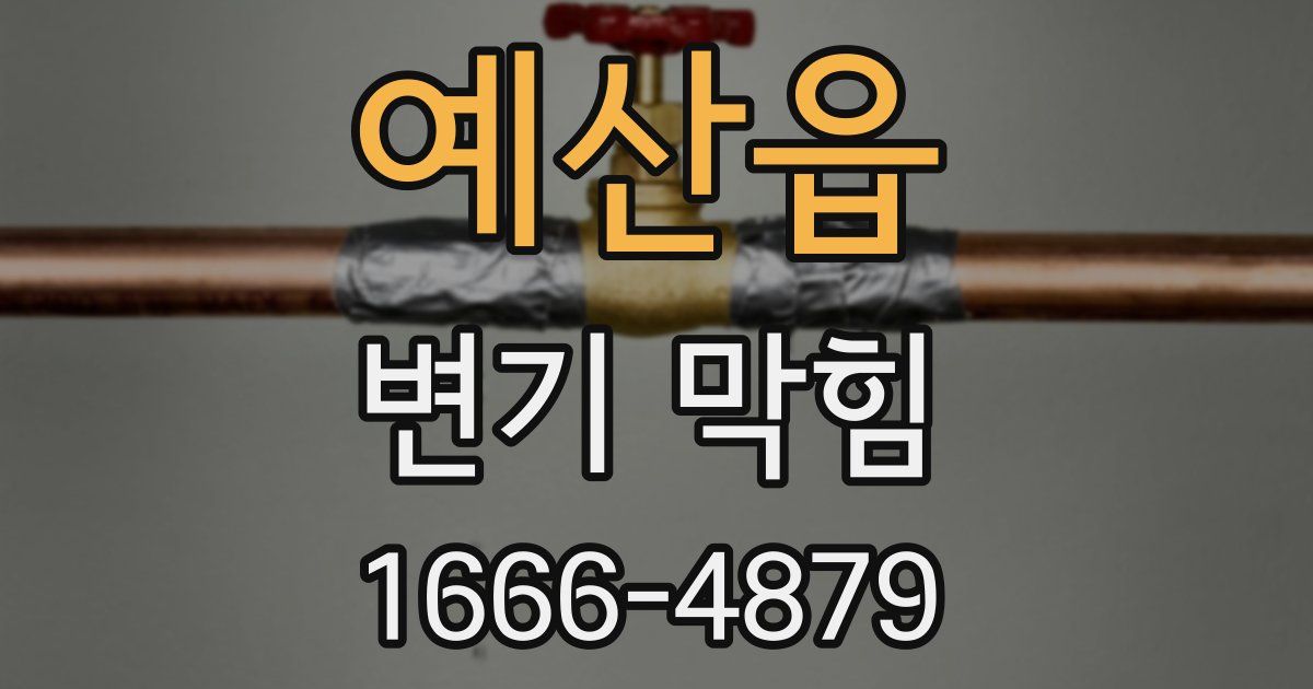 예산읍 변기 막힘