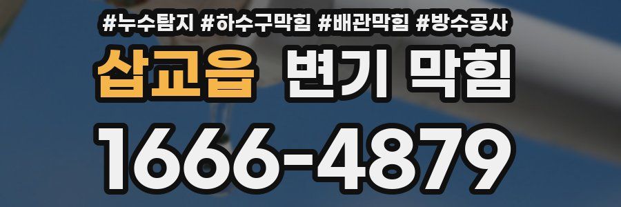 삽교읍 변기 막힘