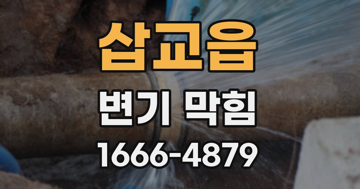 삽교읍 변기 막힘