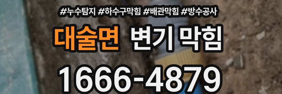 대술면 변기 막힘
