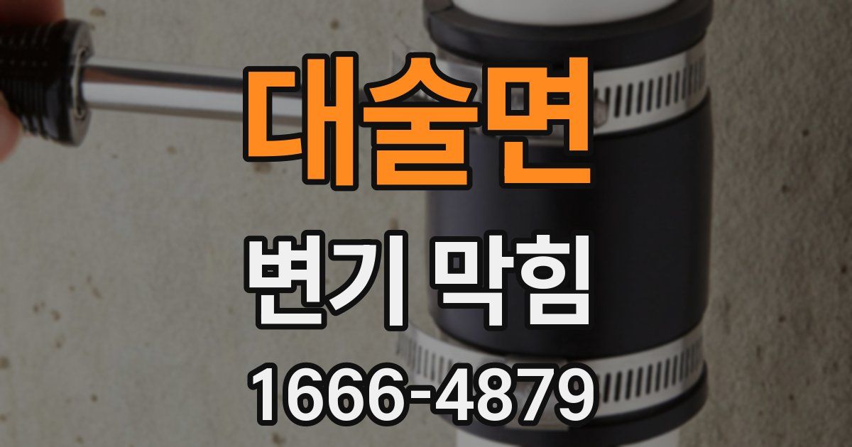 대술면 변기 막힘