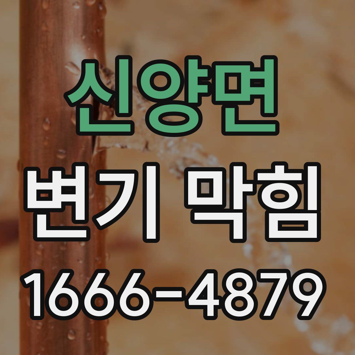 신양면 변기 막힘