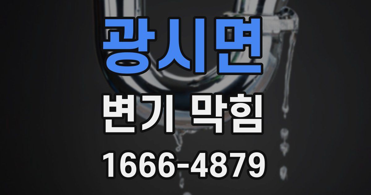 광시면 변기 막힘
