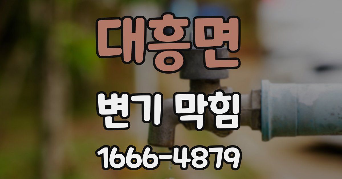 대흥면 변기 막힘