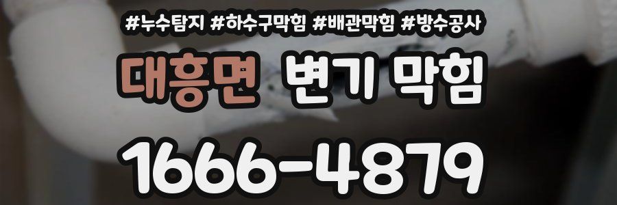 대흥면 변기 막힘